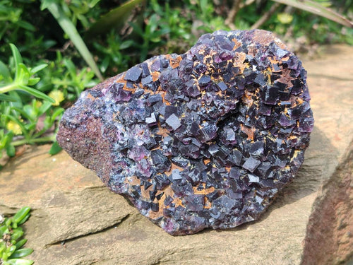 Natural Mix of Fluorite Specimens x 4 From Namibia - Toprock Gemstones and Minerals 