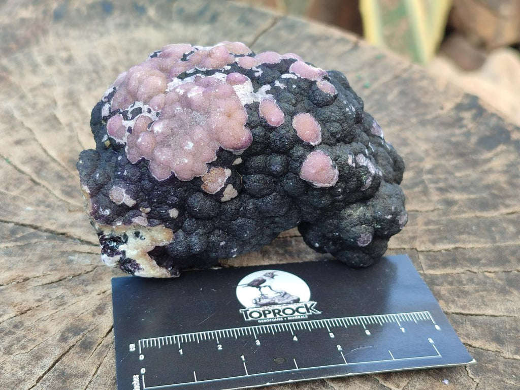 Natural Mix of Fluorite Specimens x 4 From Namibia - Toprock Gemstones and Minerals 