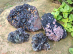 Natural Mix of Fluorite Specimens x 4 From Namibia - Toprock Gemstones and Minerals 