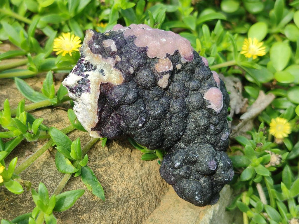 Natural Mix of Fluorite Specimens x 4 From Namibia - Toprock Gemstones and Minerals 