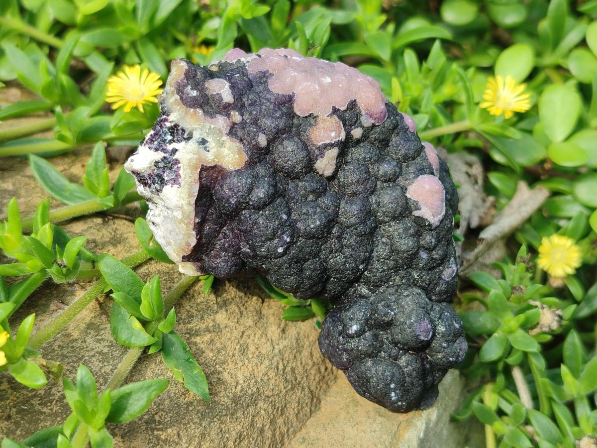 Natural Mix of Fluorite Specimens x 4 From Namibia - Toprock Gemstones and Minerals 