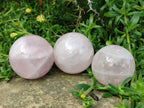 Polished Gemmy Star Rose Quartz Spheres x 6 From Madagascar - Toprock Gemstones and Minerals 
