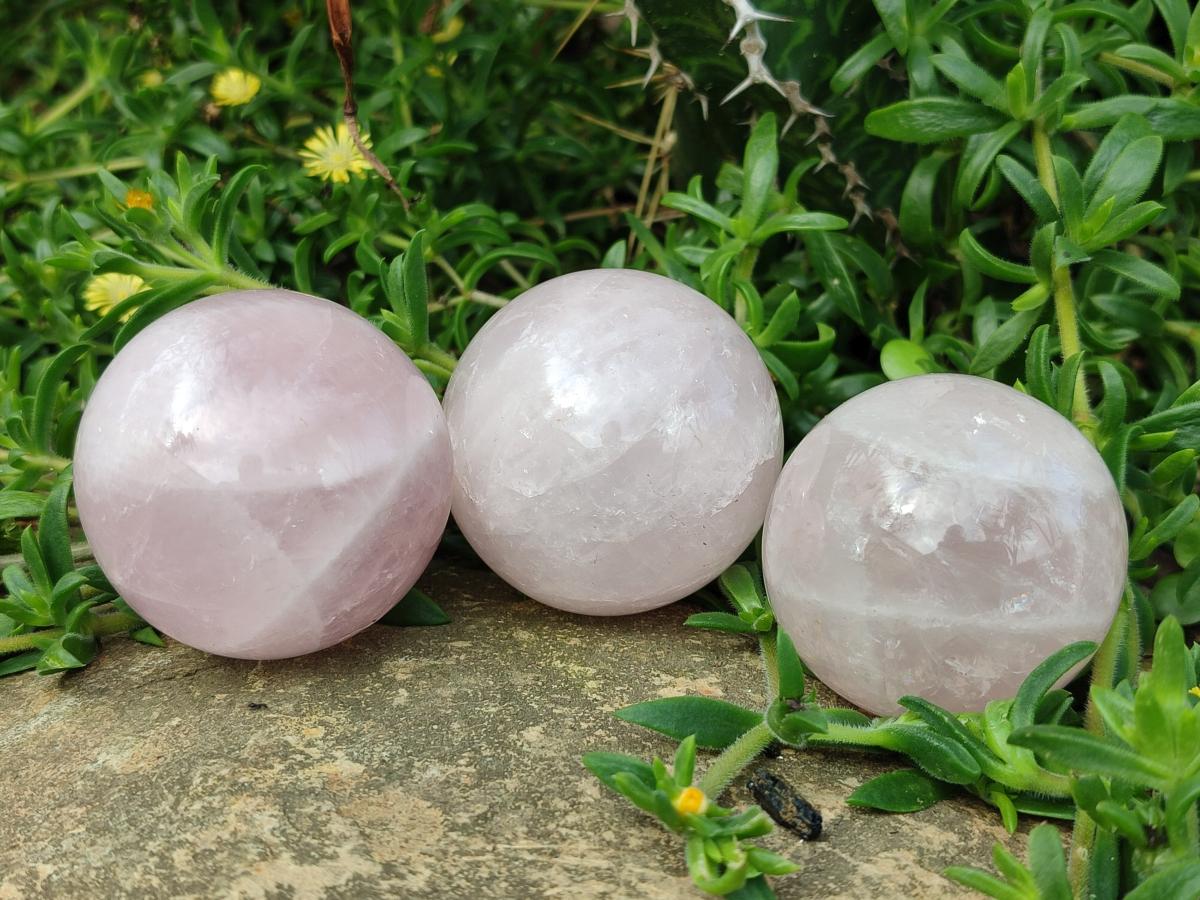 Polished Gemmy Star Rose Quartz Spheres x 6 From Madagascar - Toprock Gemstones and Minerals 