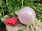 Polished Gemmy Star Rose Quartz Spheres x 6 From Madagascar - Toprock Gemstones and Minerals 
