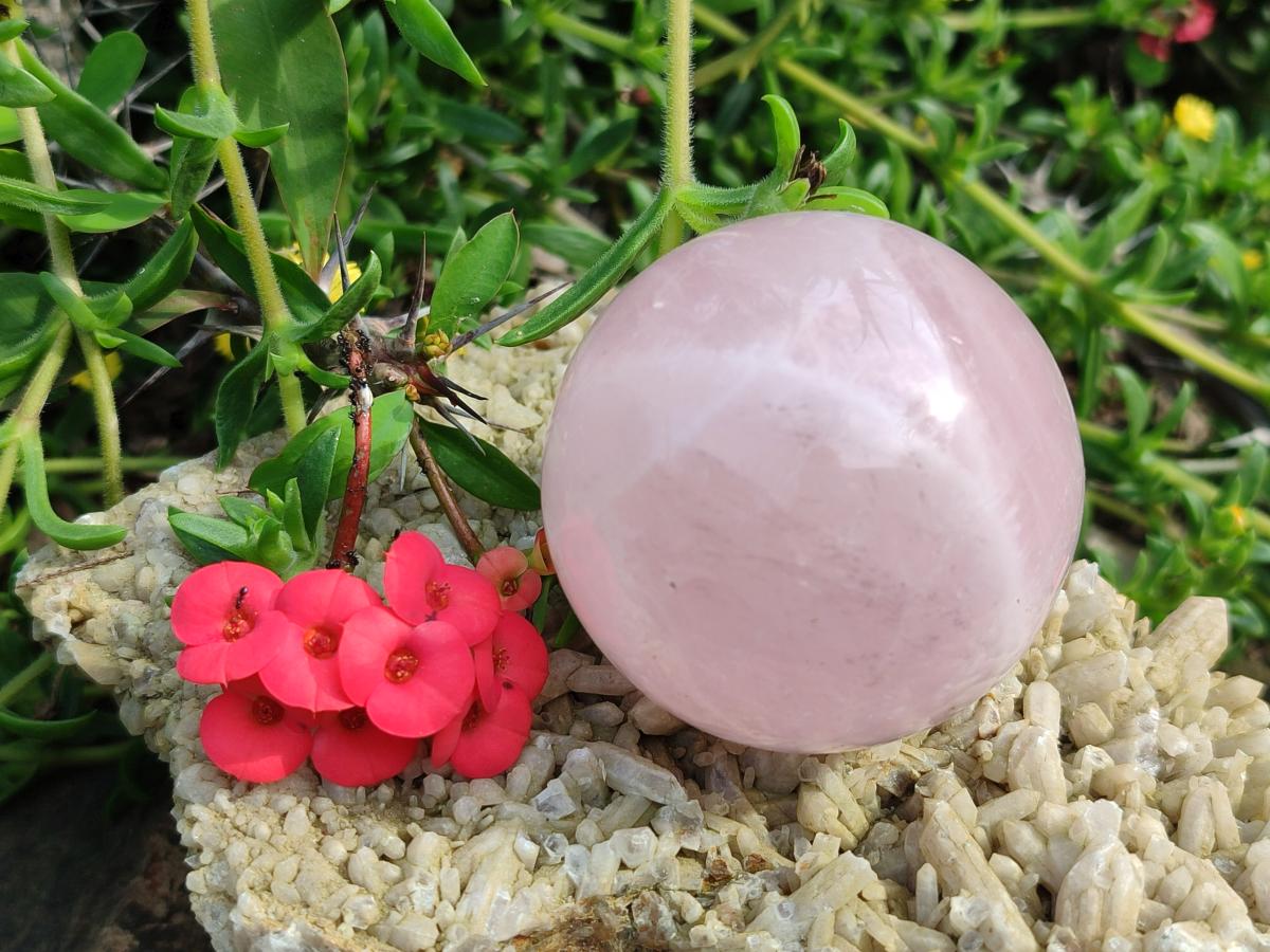 Polished Gemmy Star Rose Quartz Spheres x 6 From Madagascar - Toprock Gemstones and Minerals 