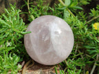 Polished Gemmy Star Rose Quartz Spheres x 6 From Madagascar - Toprock Gemstones and Minerals 