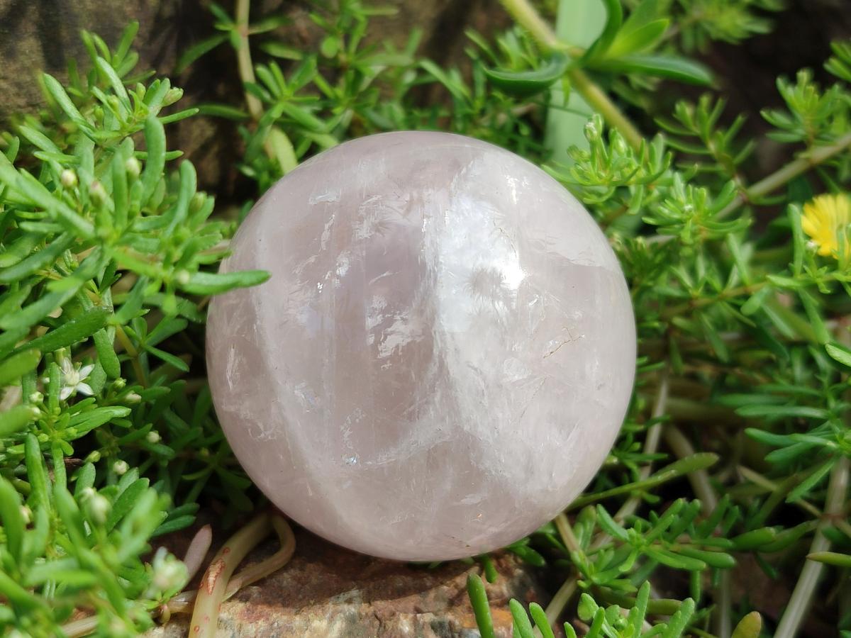 Polished Gemmy Star Rose Quartz Spheres x 6 From Madagascar - Toprock Gemstones and Minerals 