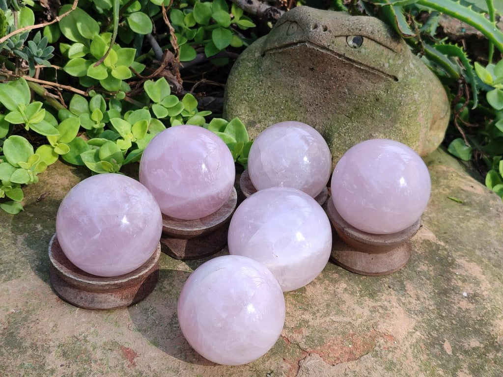 Polished Gemmy Star Rose Quartz Spheres x 6 From Madagascar - Toprock Gemstones and Minerals 