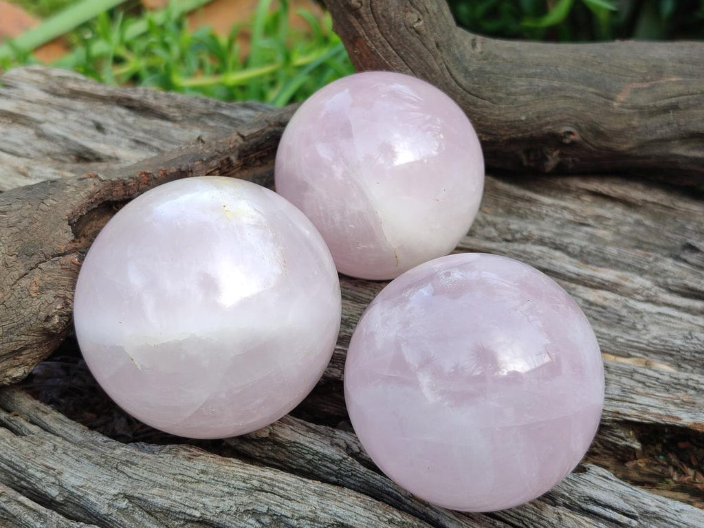 Polished Gemmy Star Rose Quartz Spheres x 6 From Madagascar - Toprock Gemstones and Minerals 