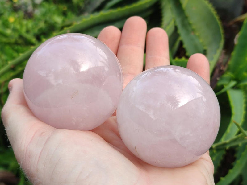 Polished Gemmy Star Rose Quartz Spheres x 6 From Madagascar - Toprock Gemstones and Minerals 
