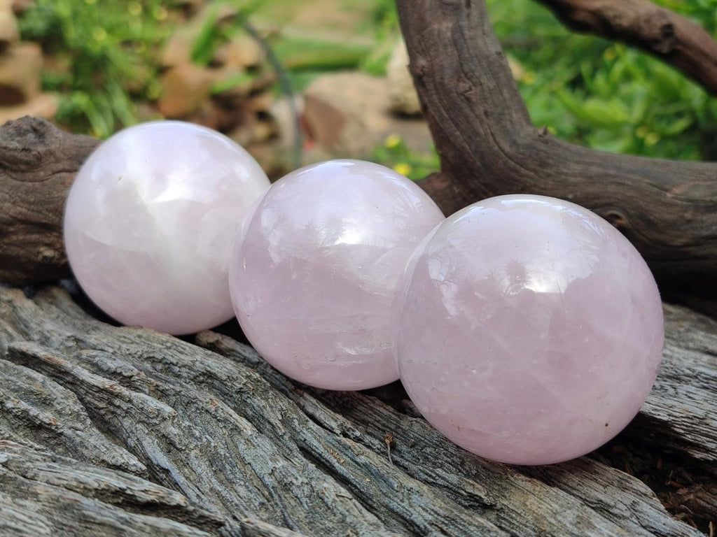Polished Gemmy Star Rose Quartz Spheres x 6 From Madagascar - Toprock Gemstones and Minerals 