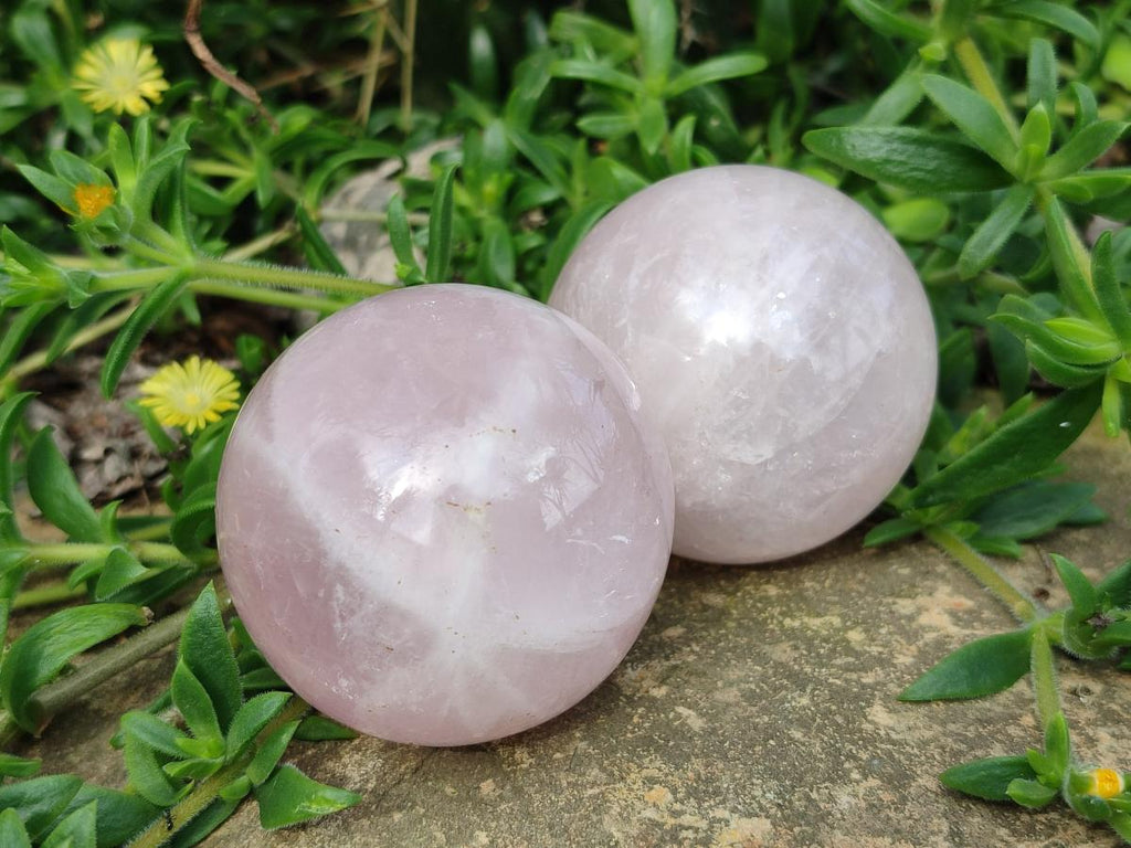 Polished Gemmy Star Rose Quartz Spheres x 6 From Madagascar - Toprock Gemstones and Minerals 