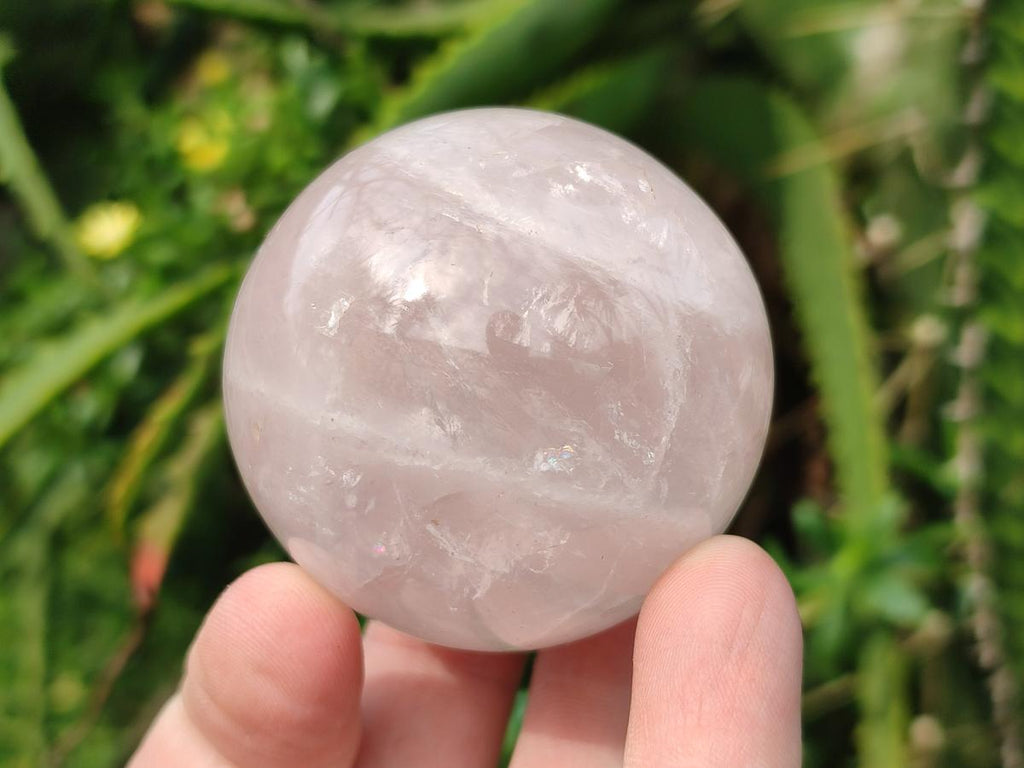 Polished Gemmy Star Rose Quartz Spheres x 6 From Madagascar - Toprock Gemstones and Minerals 