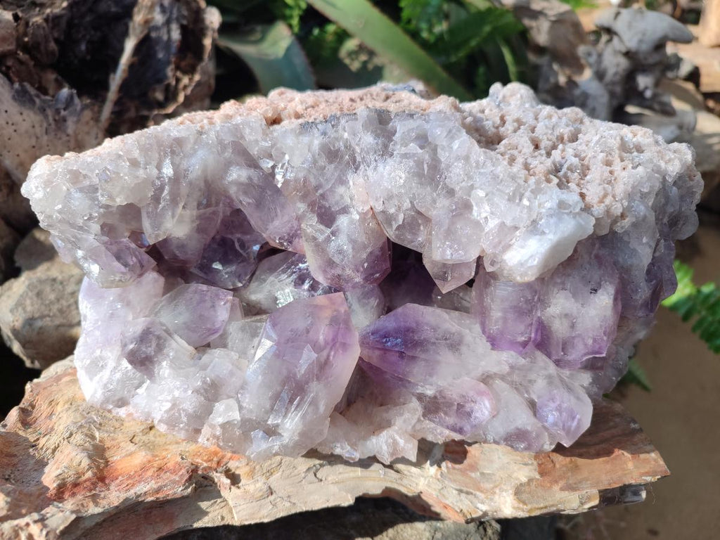 Natural XL Jacaranda Amethyst Cluster x 1 From Mumbwa, Zambia - Toprock Gemstones and Minerals 