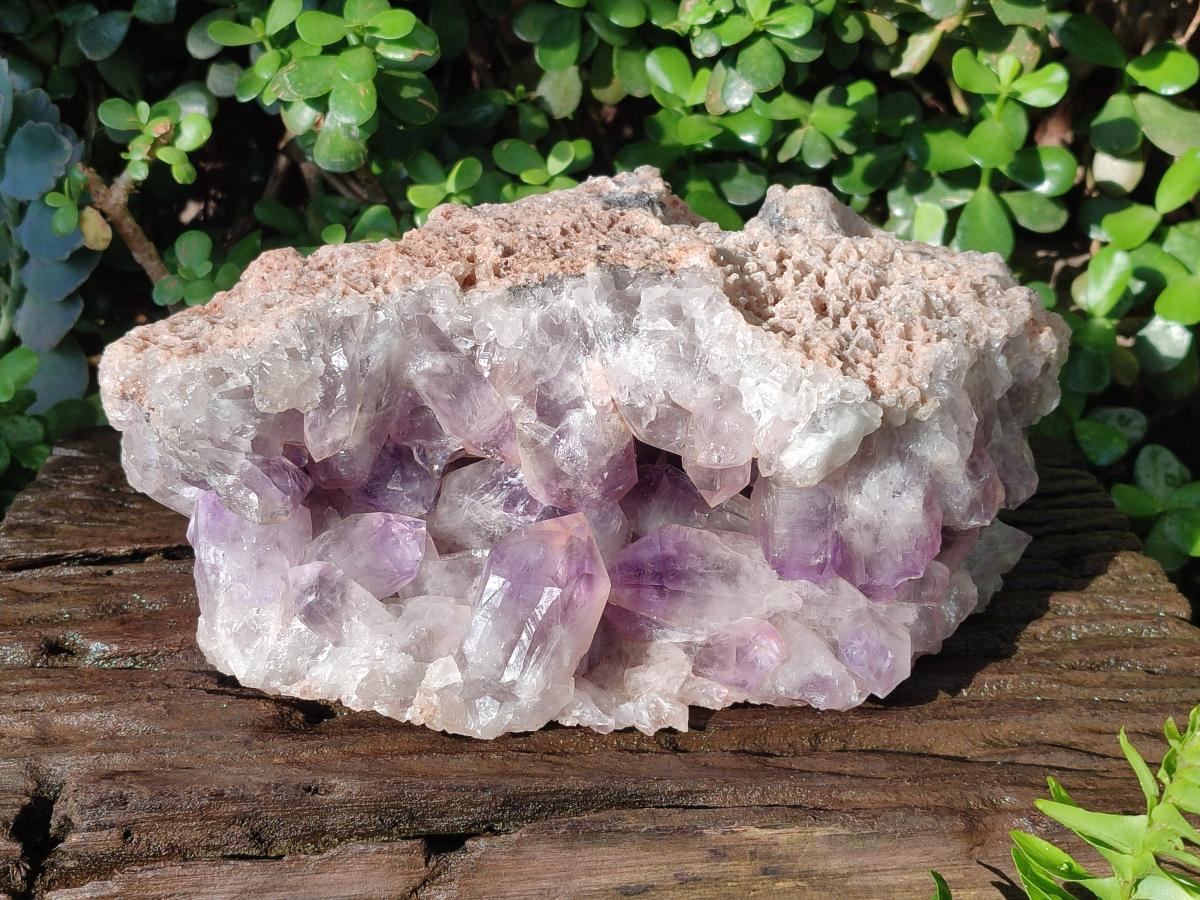 Natural XL Jacaranda Amethyst Cluster x 1 From Mumbwa, Zambia - Toprock Gemstones and Minerals 