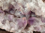 Natural XL Jacaranda Amethyst Cluster x 1 From Mumbwa, Zambia - Toprock Gemstones and Minerals 