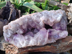 Natural XL Jacaranda Amethyst Cluster x 1 From Mumbwa, Zambia - Toprock Gemstones and Minerals 