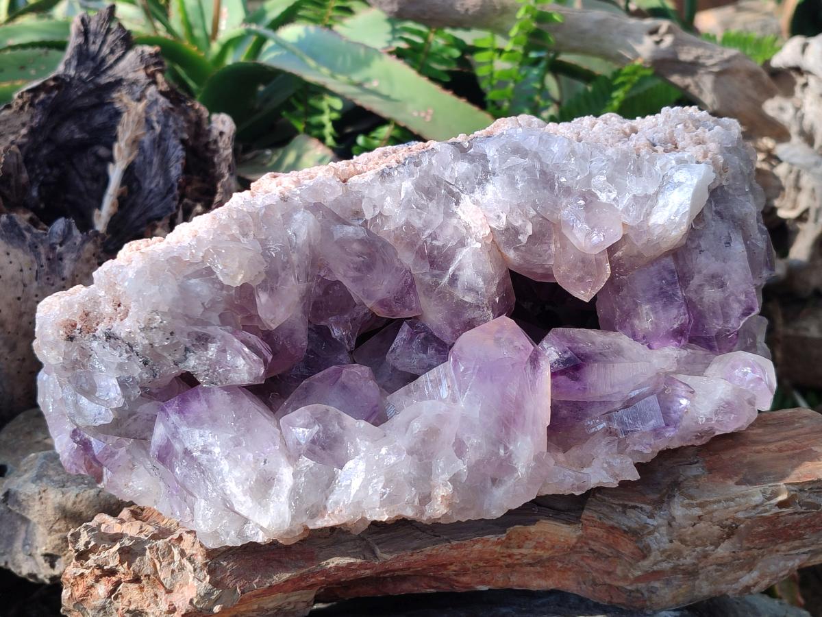 Natural XL Jacaranda Amethyst Cluster x 1 From Mumbwa, Zambia - Toprock Gemstones and Minerals 