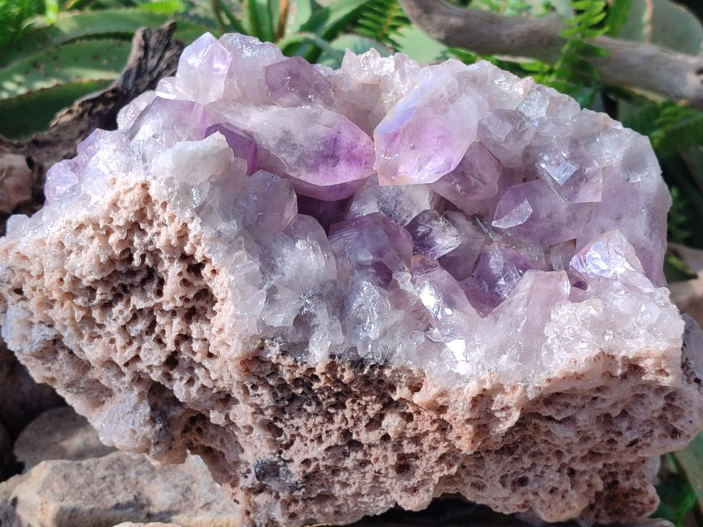 Natural XL Jacaranda Amethyst Cluster x 1 From Mumbwa, Zambia - Toprock Gemstones and Minerals 