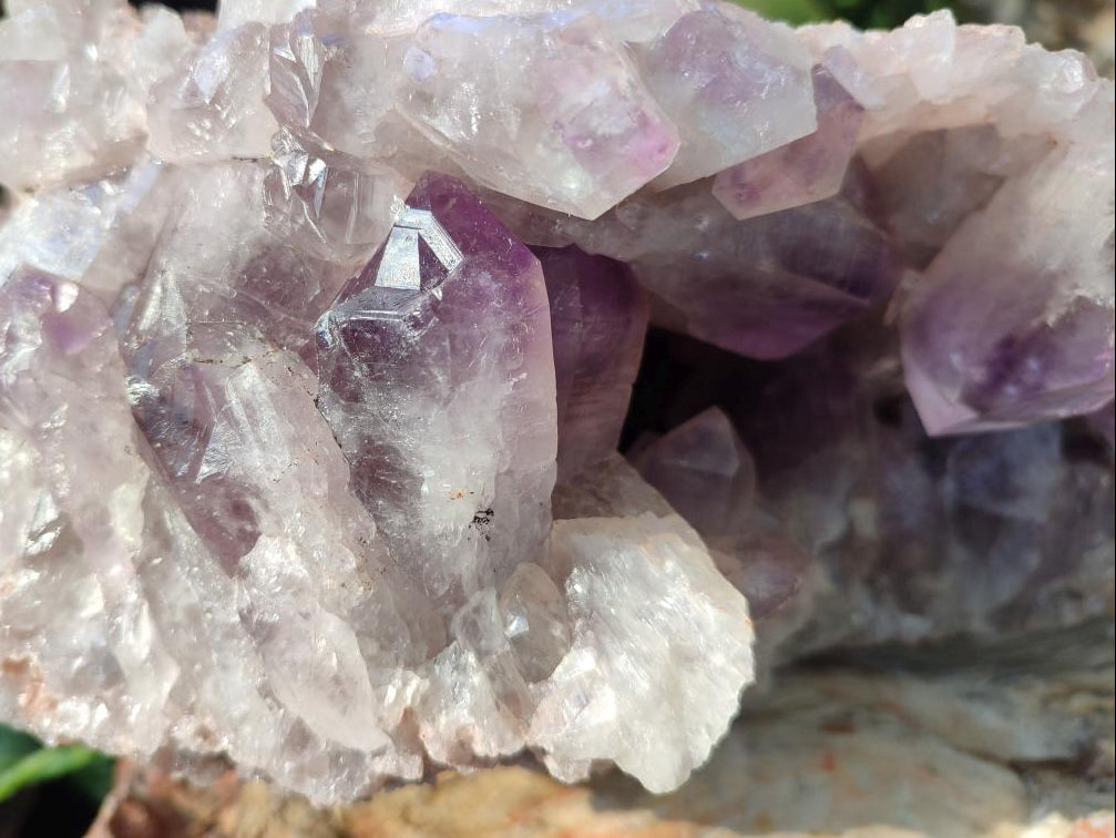 Natural XL Jacaranda Amethyst Cluster x 1 From Mumbwa, Zambia - Toprock Gemstones and Minerals 