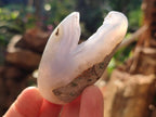 Polished and Natural Blue Lace Agate Free Forms x 17 From Nsanje, Malawi - Toprock Gemstones and Minerals 