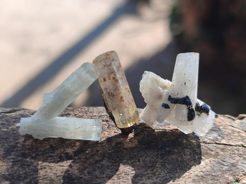 Natural Aquamarine Specimens with Goshenite and Black Tourmaline x 70 From Erongo, Namibia - Toprock Gemstones and Minerals 
