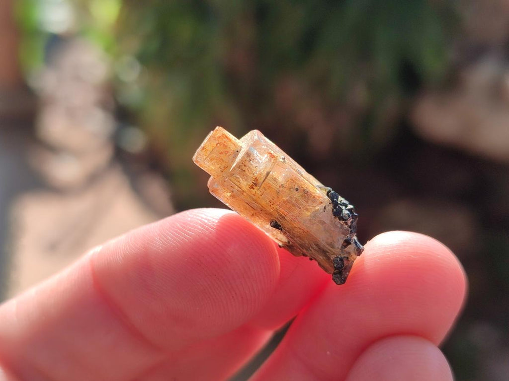Natural Aquamarine Specimens with Goshenite and Black Tourmaline x 70 From Erongo, Namibia - Toprock Gemstones and Minerals 