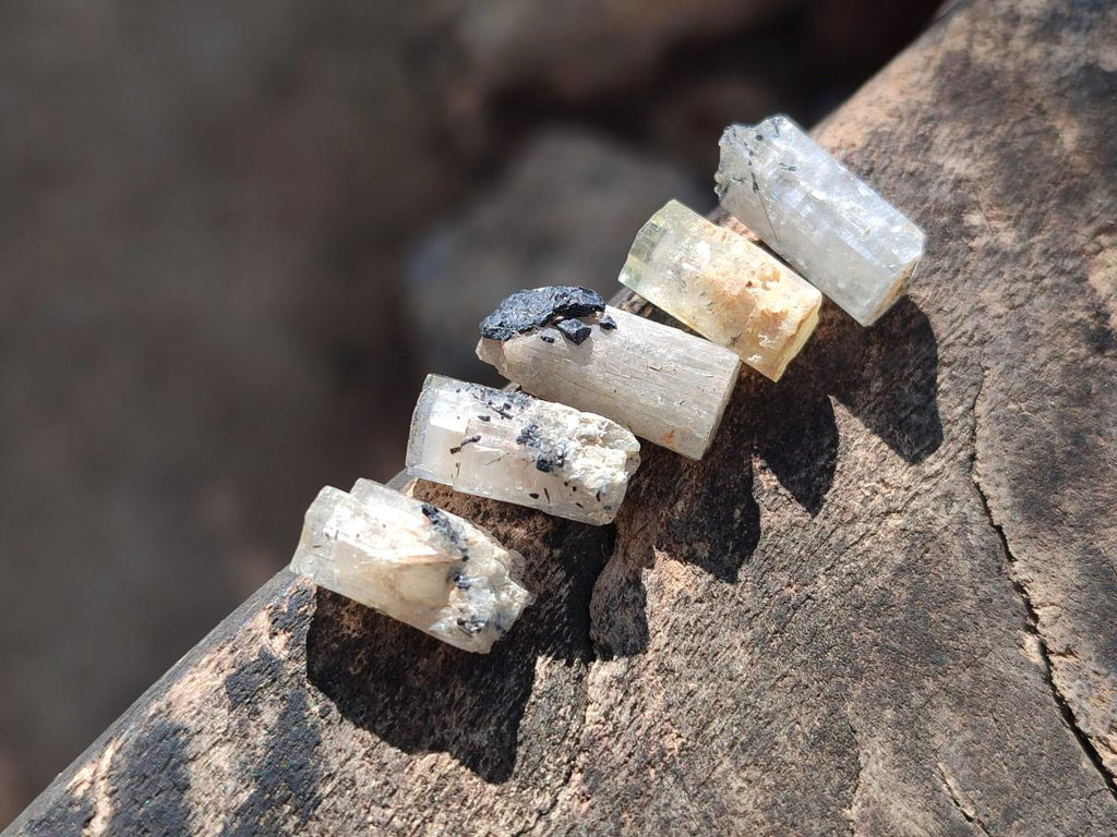 Natural Aquamarine Specimens with Goshenite and Black Tourmaline x 70 From Erongo, Namibia - Toprock Gemstones and Minerals 