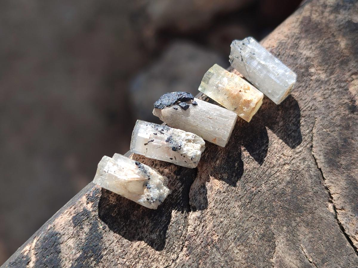 Natural Aquamarine Specimens with Goshenite and Black Tourmaline x 70 From Erongo, Namibia - Toprock Gemstones and Minerals 