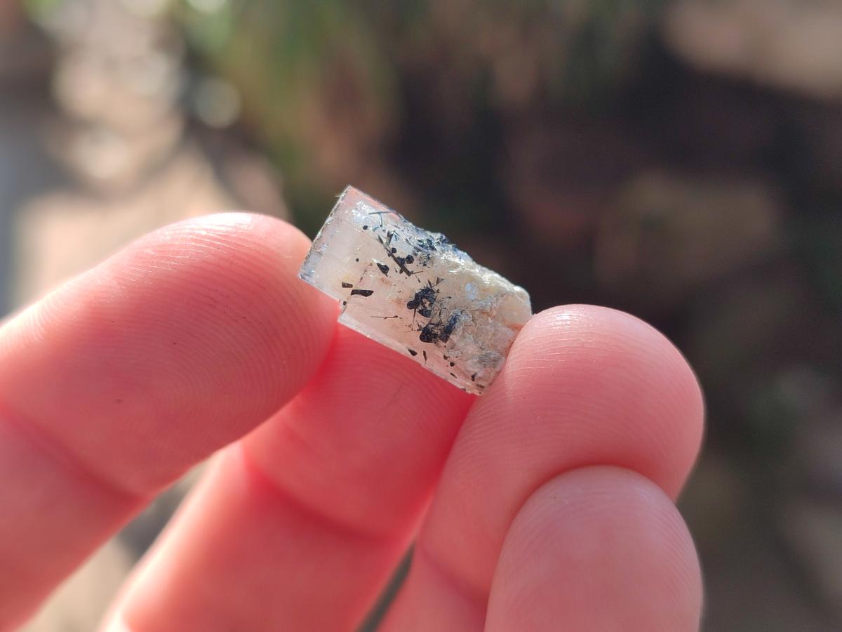Natural Aquamarine Specimens with Goshenite and Black Tourmaline x 70 From Erongo, Namibia - Toprock Gemstones and Minerals 