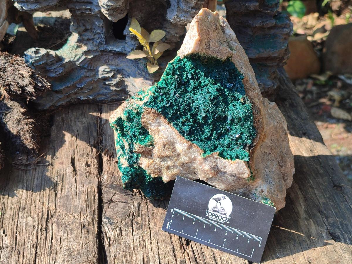 Natural Large Crystalline Malachite Specimen x 1 From Tenke Fungurume, Congo - Toprock Gemstones and Minerals 