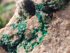 Natural Large Crystalline Malachite Specimen x 1 From Tenke Fungurume, Congo - Toprock Gemstones and Minerals 