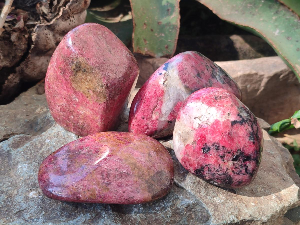Polished Mix of Red Rhodesian Rhodonite Pieces x 4 From Rhusinga, Zimbabwe - Toprock Gemstones and Minerals 