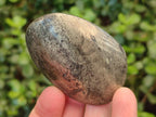 Polished Basalt Pharaoh Stone Free Forms x 12 From Iron Duke Mine, Zimbabwe - Toprock Gemstones and Minerals 