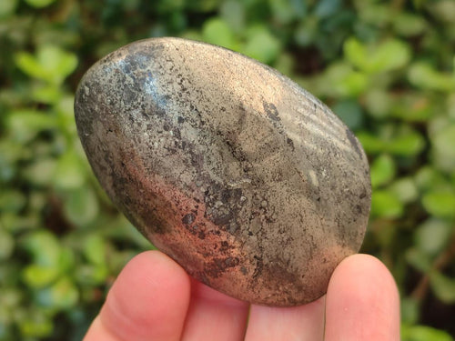 Polished Basalt Pharaoh Stone Free Forms x 12 From Iron Duke Mine, Zimbabwe - Toprock Gemstones and Minerals 