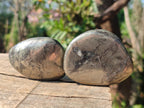 Polished Basalt Pharaoh Stone Free Forms x 12 From Iron Duke Mine, Zimbabwe - Toprock Gemstones and Minerals 