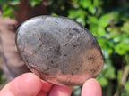 Polished Basalt Pharaoh Stone Free Forms x 12 From Iron Duke Mine, Zimbabwe - Toprock Gemstones and Minerals 