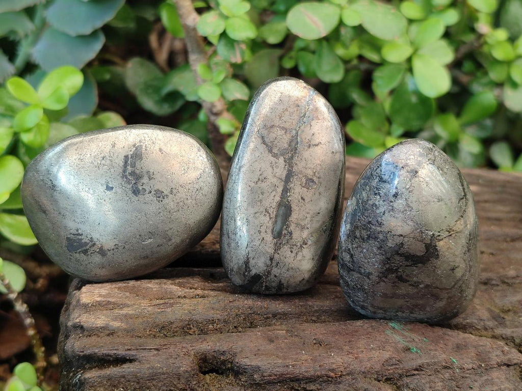 Polished Basalt Pharaoh Stone Free Forms x 12 From Iron Duke Mine, Zimbabwe - Toprock Gemstones and Minerals 