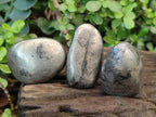 Polished Basalt Pharaoh Stone Free Forms x 12 From Iron Duke Mine, Zimbabwe - Toprock Gemstones and Minerals 
