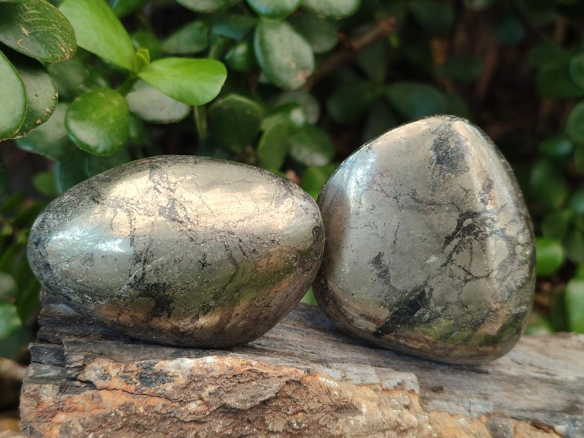 Polished Basalt Pharaoh Stone Free Forms x 12 From Iron Duke Mine, Zimbabwe - Toprock Gemstones and Minerals 