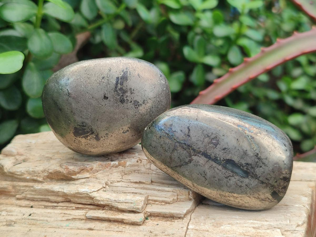Polished Basalt Pharaoh Stone Free Forms x 12 From Iron Duke Mine, Zimbabwe - Toprock Gemstones and Minerals 