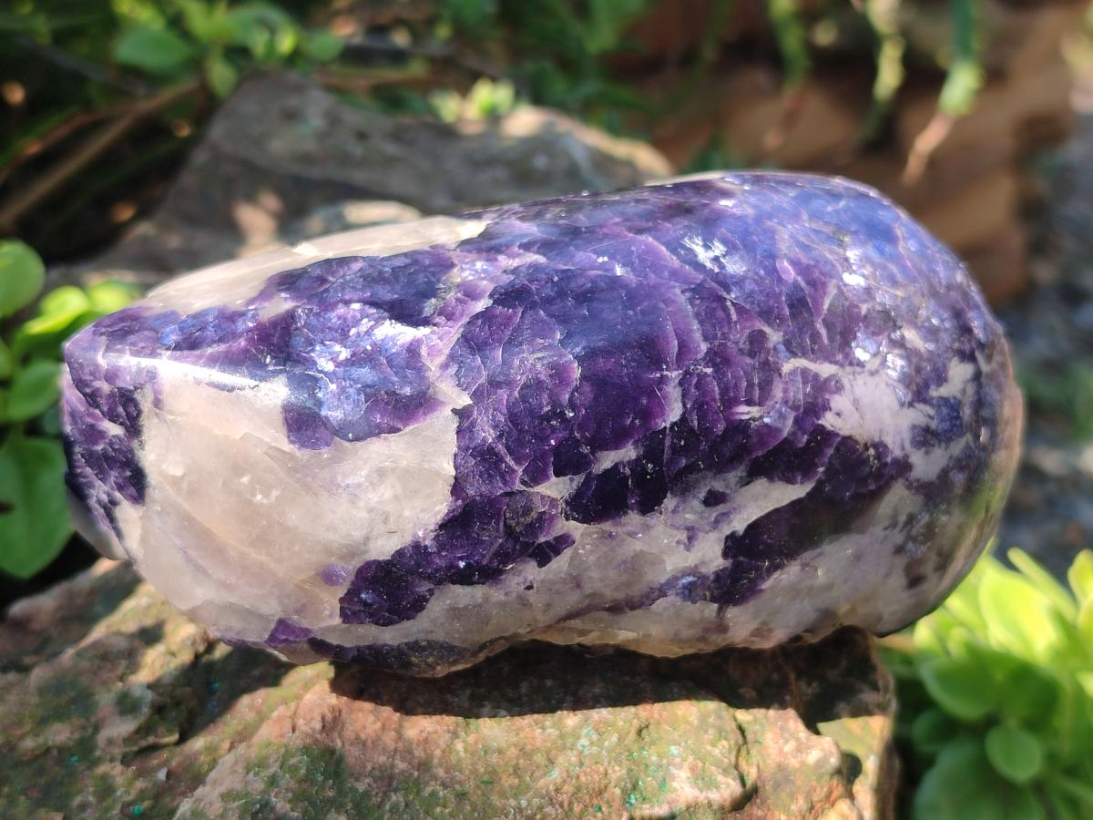 Polished One Side Lithium Silver Leaf Lepidolite Specimens x 4 From Zimbabwe - Toprock Gemstones and Minerals 