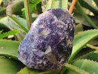 Polished One Side Lithium Silver Leaf Lepidolite Specimens x 4 From Zimbabwe - Toprock Gemstones and Minerals 