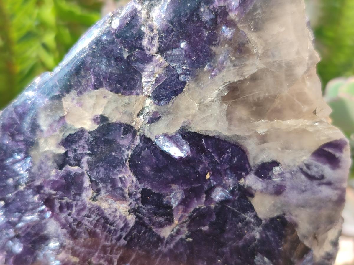 Polished One Side Lithium Silver Leaf Lepidolite Specimens x 4 From Zimbabwe - Toprock Gemstones and Minerals 