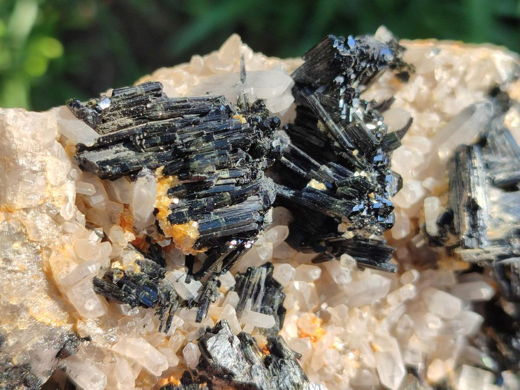 Natural Large Smokey Quartz Cluster with Schorl Black Tourmaline and Goshenite x 1 From Erongo, Namibia - Toprock Gemstones and Minerals 