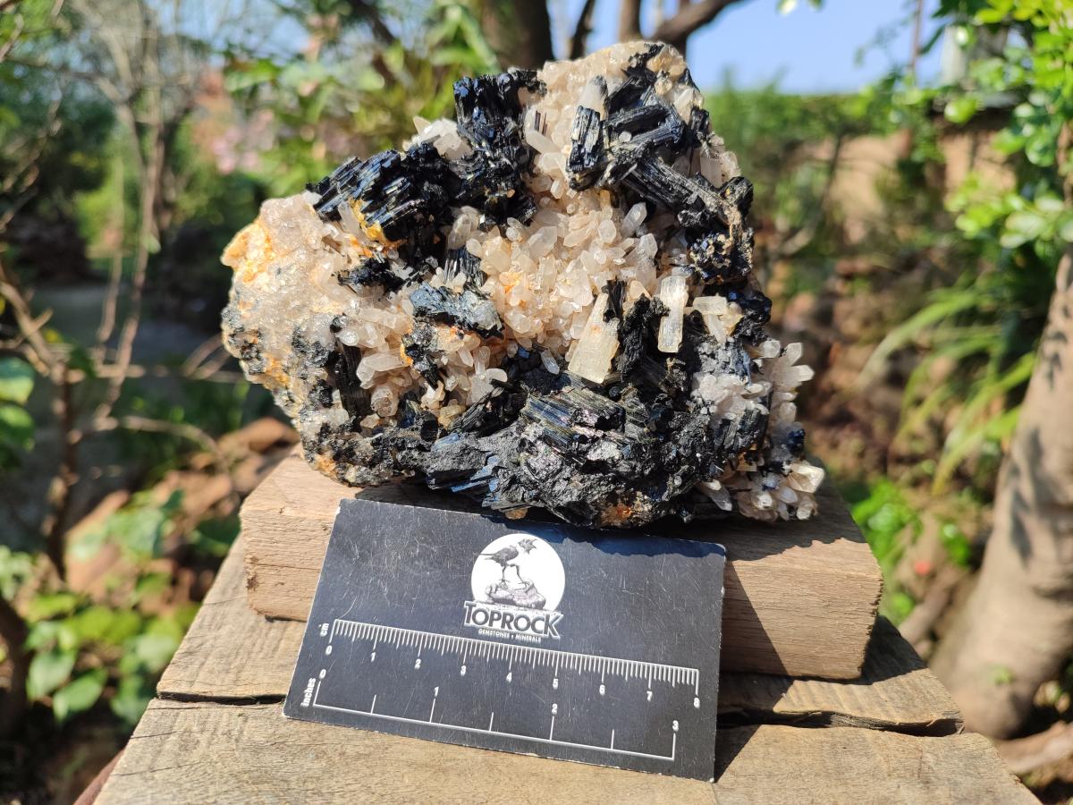 Natural Large Smokey Quartz Cluster with Schorl Black Tourmaline and Goshenite x 1 From Erongo, Namibia - Toprock Gemstones and Minerals 