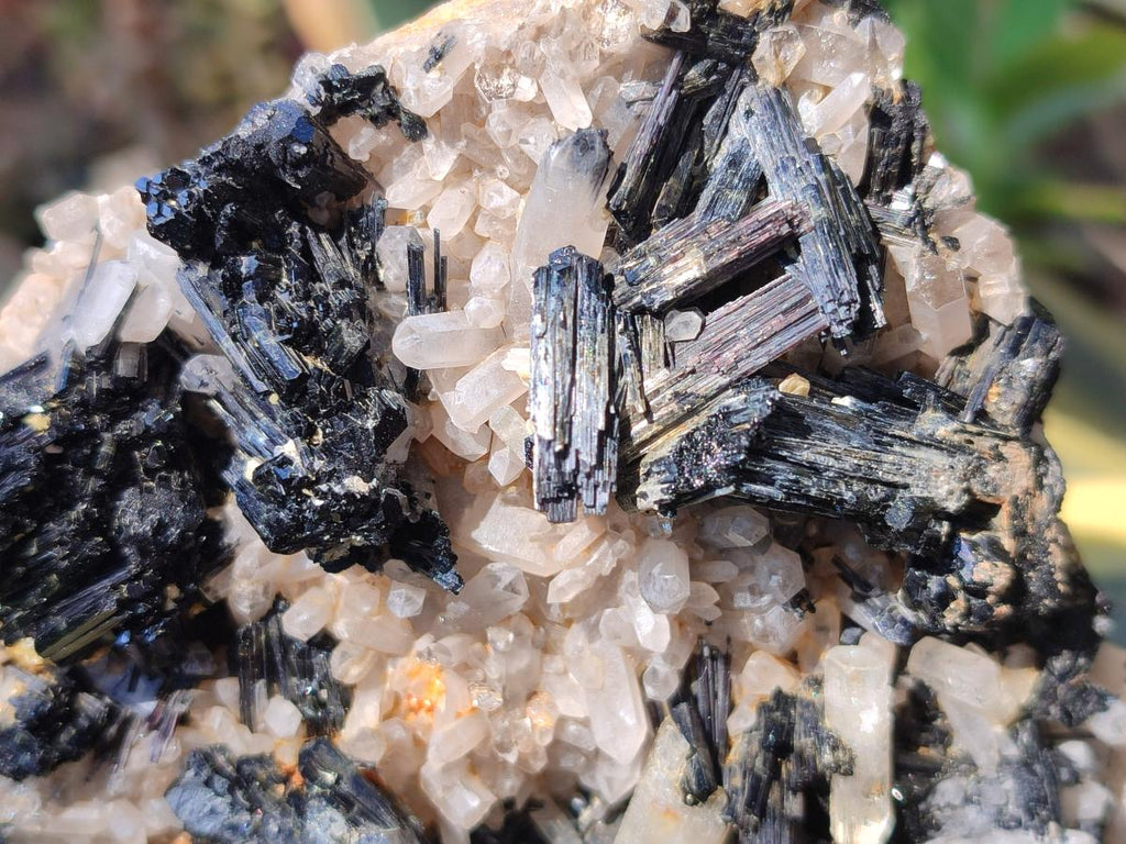 Natural Large Smokey Quartz Cluster with Schorl Black Tourmaline and Goshenite x 1 From Erongo, Namibia - Toprock Gemstones and Minerals 