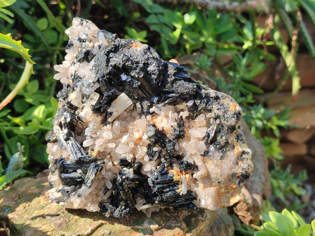 Natural Large Smokey Quartz Cluster with Schorl Black Tourmaline and Goshenite x 1 From Erongo, Namibia - Toprock Gemstones and Minerals 