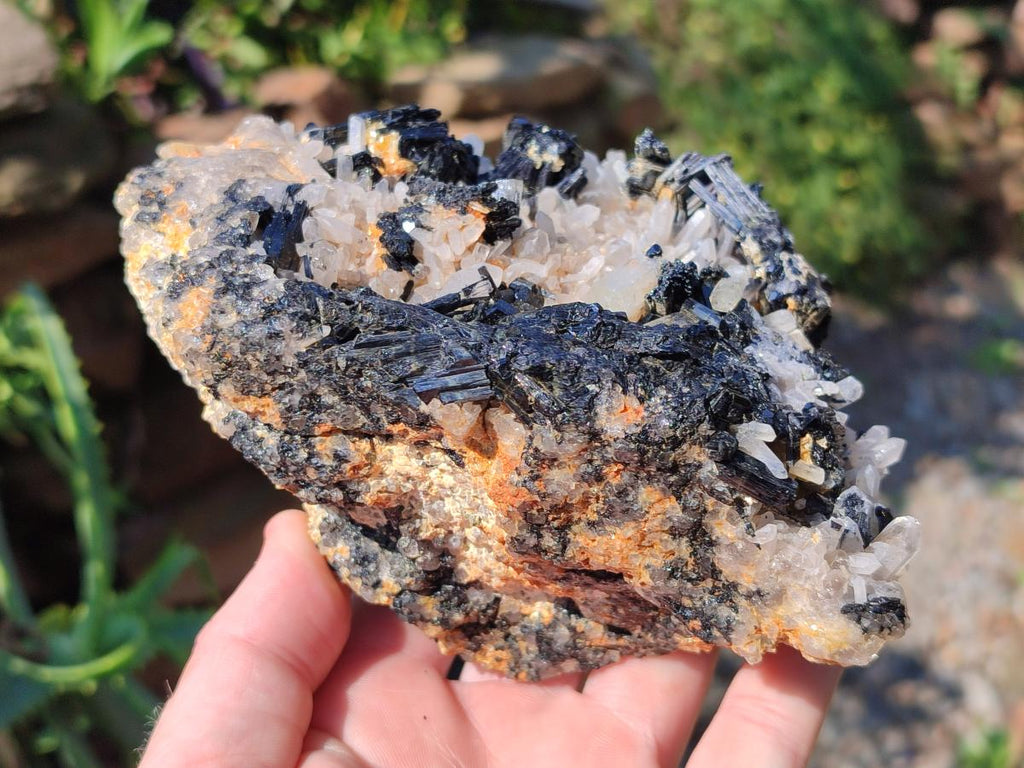 Natural Large Smokey Quartz Cluster with Schorl Black Tourmaline and Goshenite x 1 From Erongo, Namibia - Toprock Gemstones and Minerals 