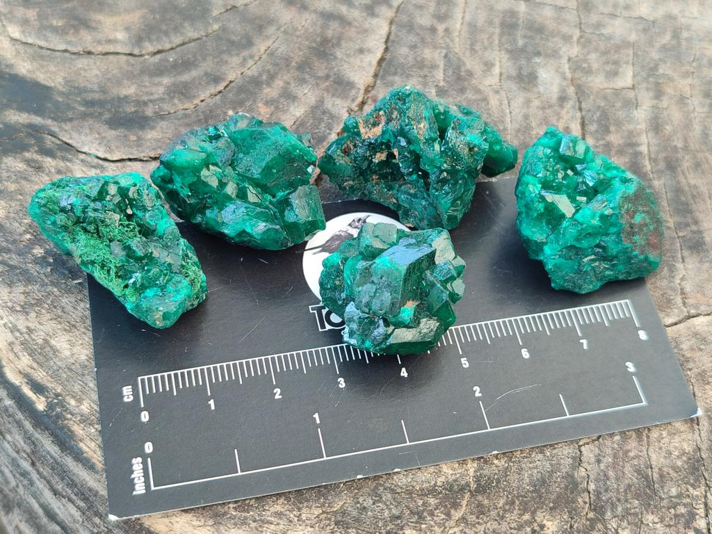 Natural Dioptase Specimens on Dolomite Matrix x 20 From Tantara Mine, Congo - Toprock Gemstones and Minerals 